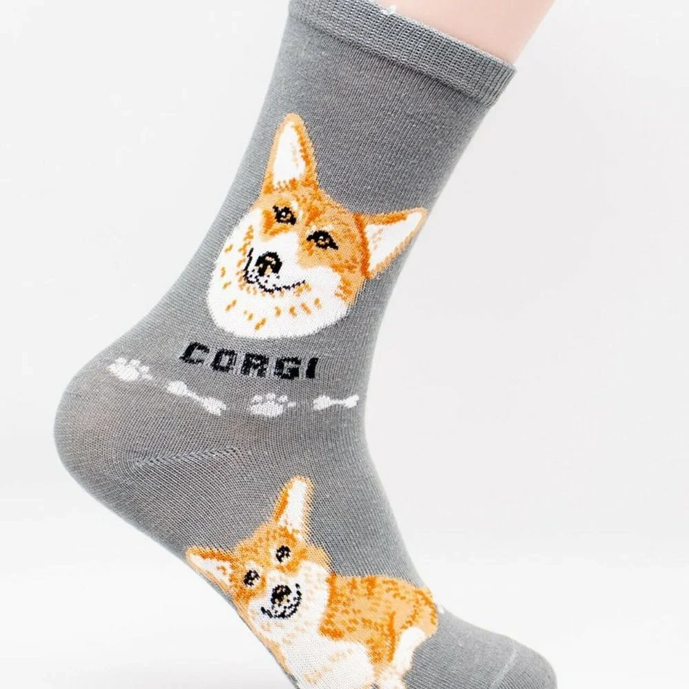 Corgi Pembroke Welsh Dog Doge Coin Crypto Foozys Puppy Loyal Cute Socks 2 Pairs